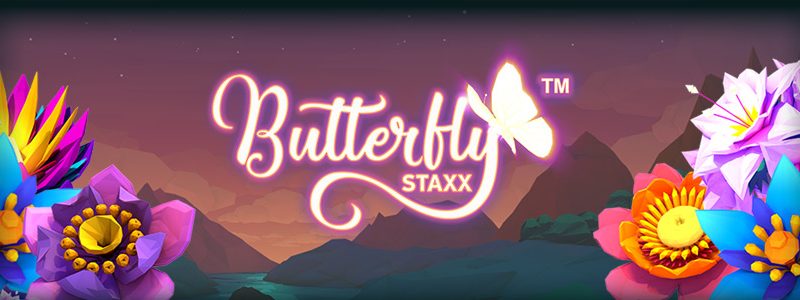 Butterfly Staxx